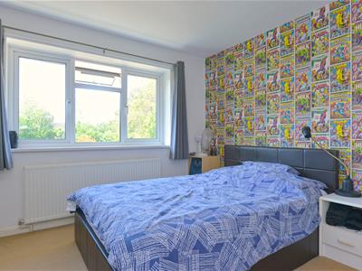 Picture 17